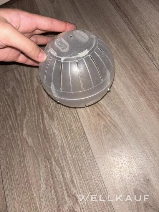 hamster Walking Ball