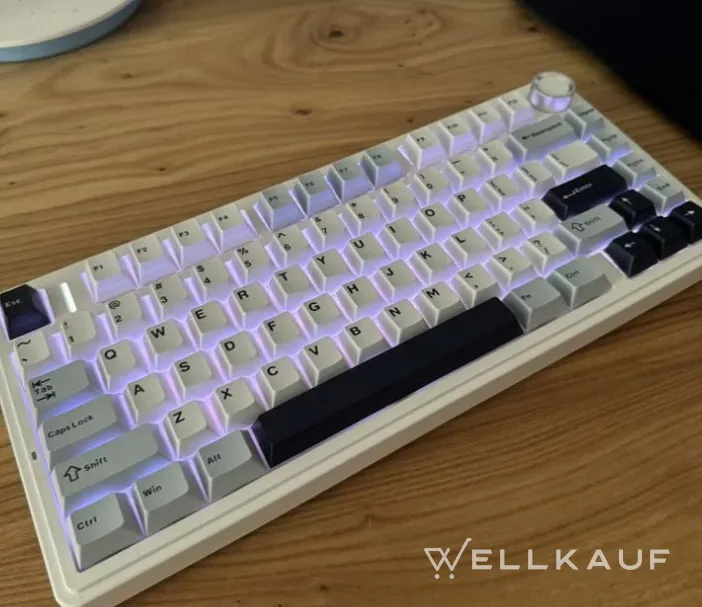 Aula f75 Mechanische Tastatur