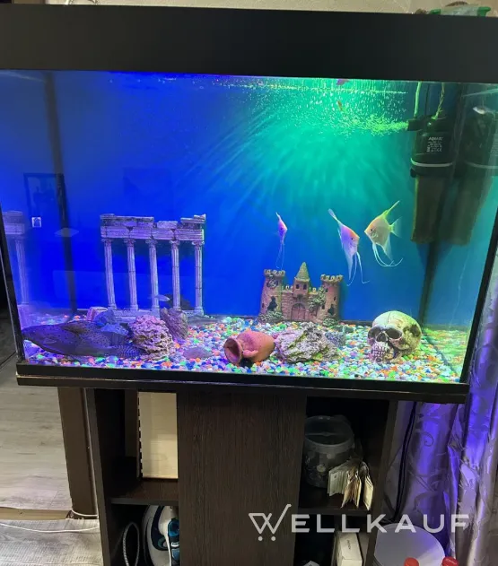 Aquarium 200 Liter