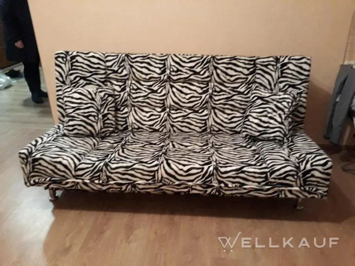 Sofa Buch Zebra Boot