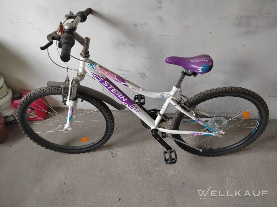 Fahrrad Stern Leeloo 24