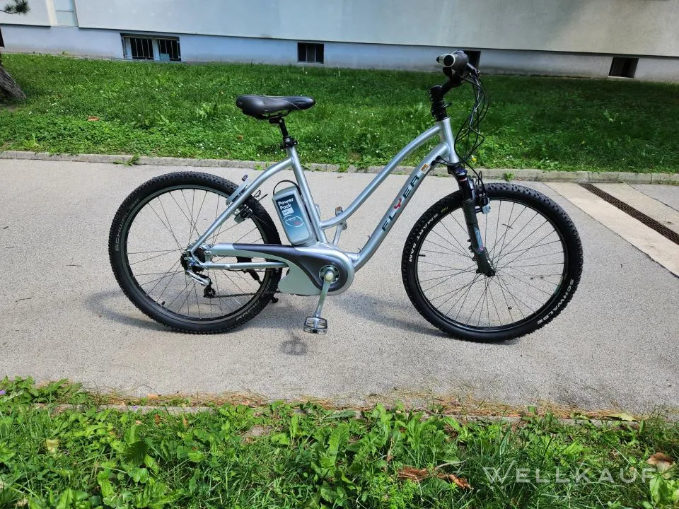 E-Bike Flyer S Serie