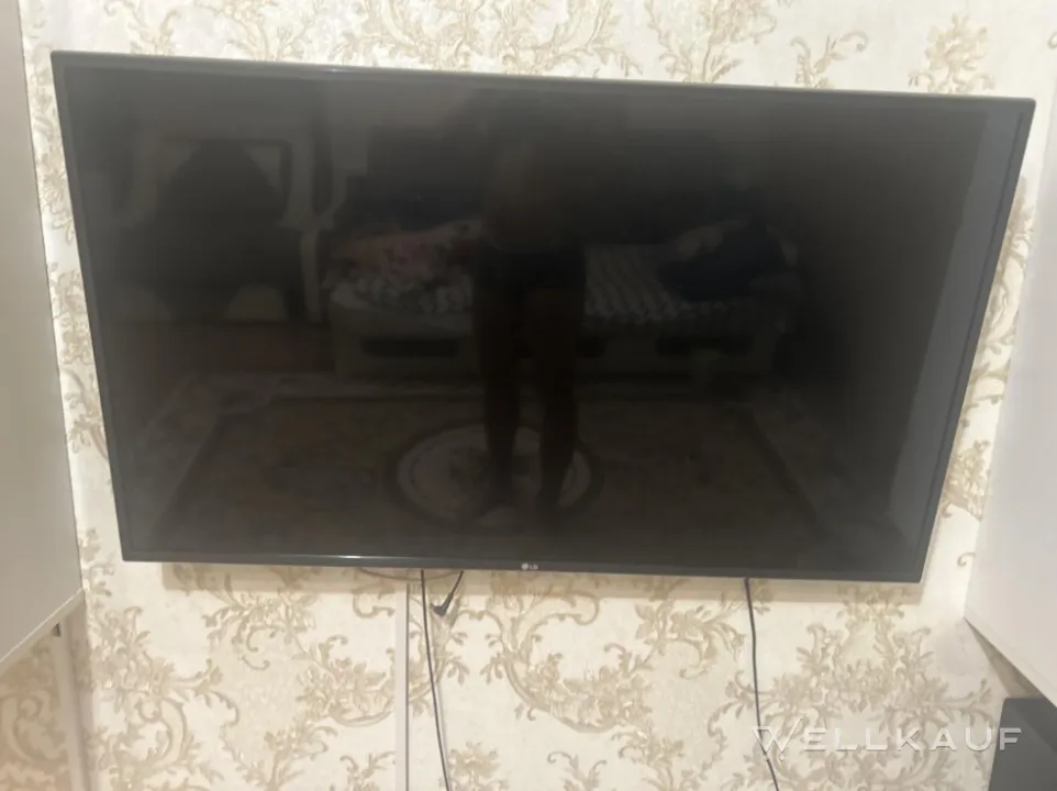 Fernseher lg43lh513v