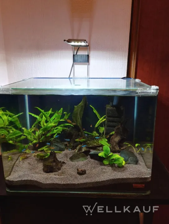 Aquarium Dennerle Nano 35l