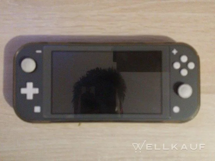 Nintendo switch lite