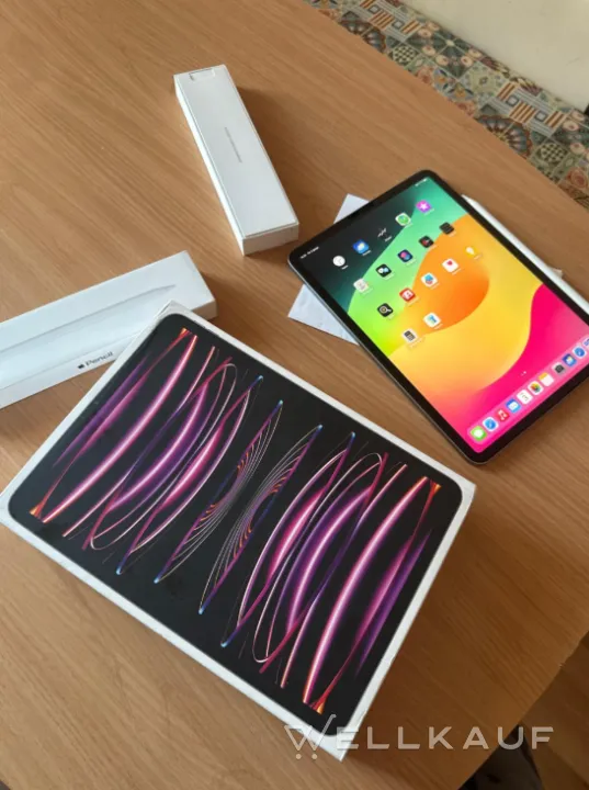 Ipad pro 11 m2 256gb