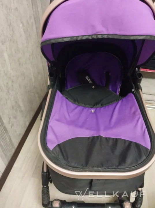 Kinderwagen-Transformator