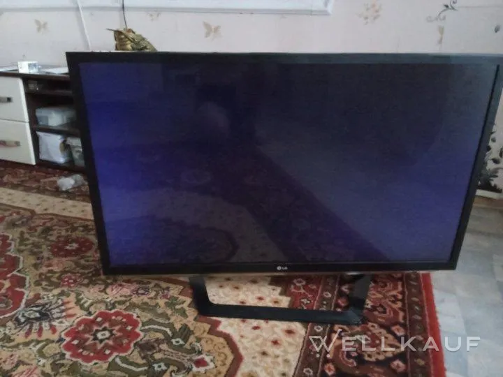 Fernseher