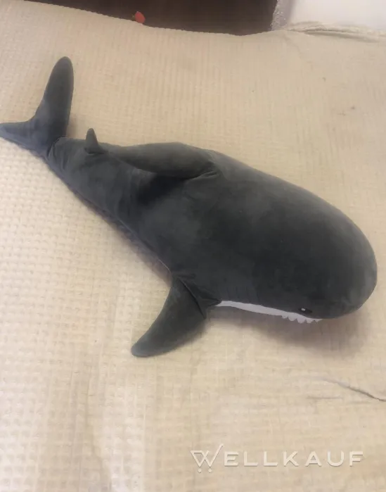 Hai