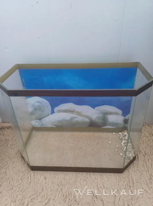 Aquarium 30l