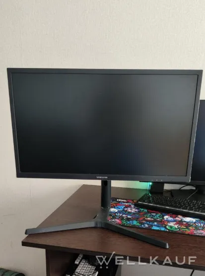 Monitor 24.5