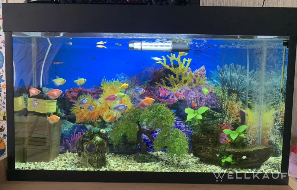 Aquarium
