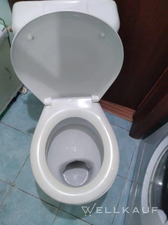 Toilettenschüssel