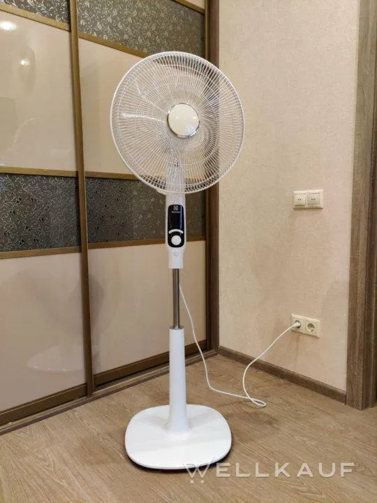 Fan im Freien