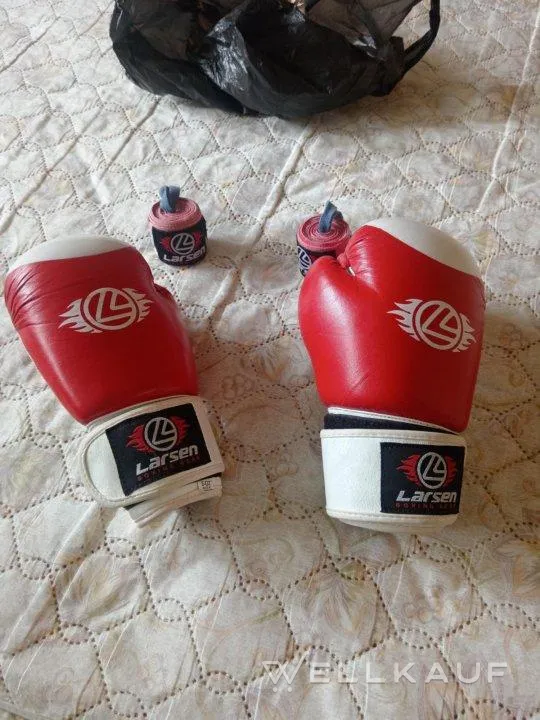 Baxterhandschuhe