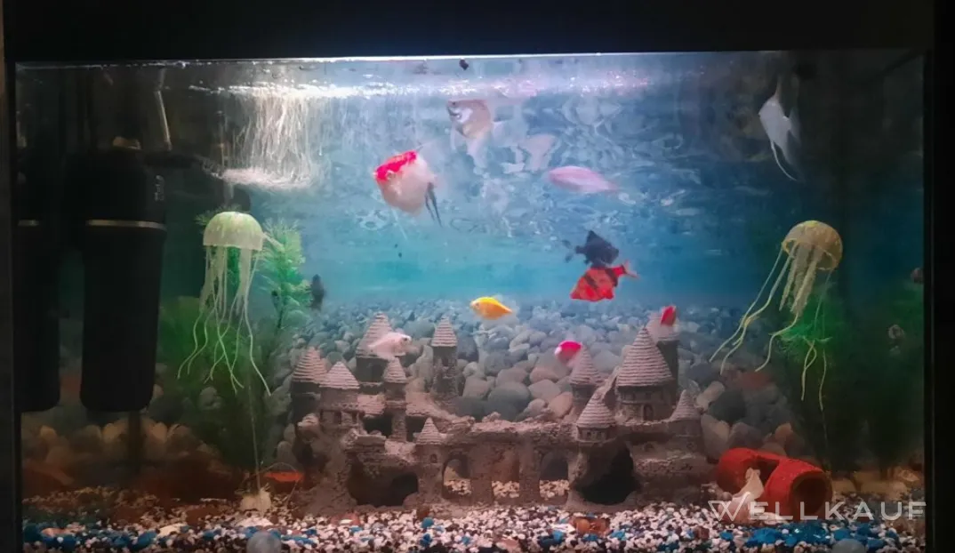 Aquarium