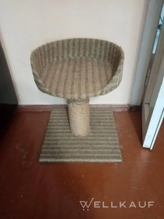 Kratzen