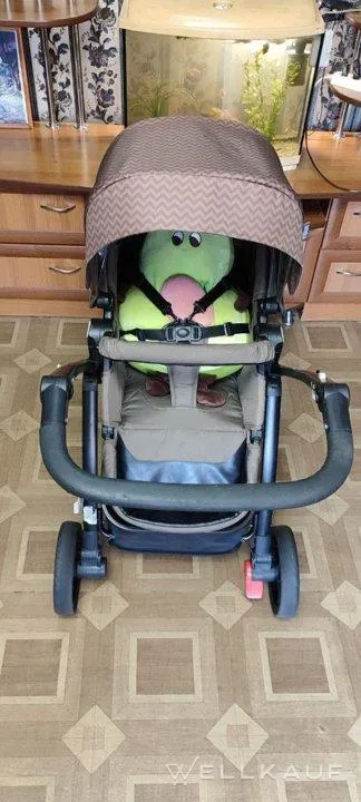 Sportwagen
