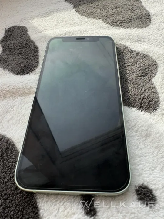 iPhone 12 mini 256