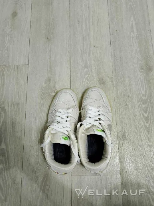 Nike dunk SB Mumien