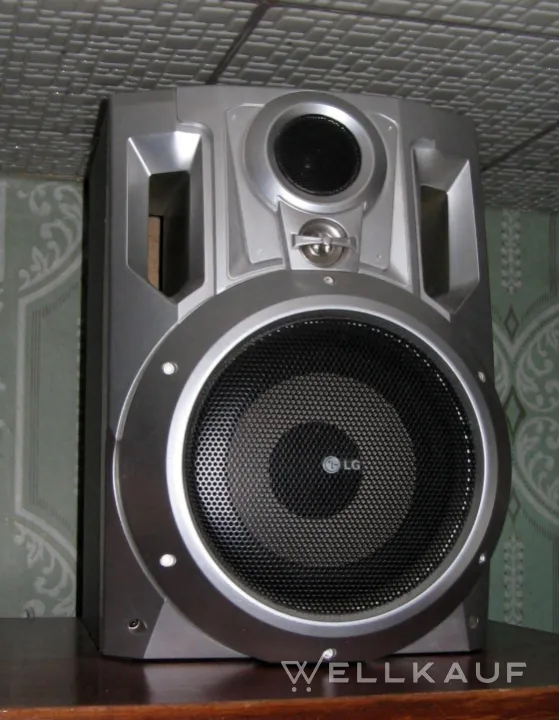LG Akustiklautsprecher