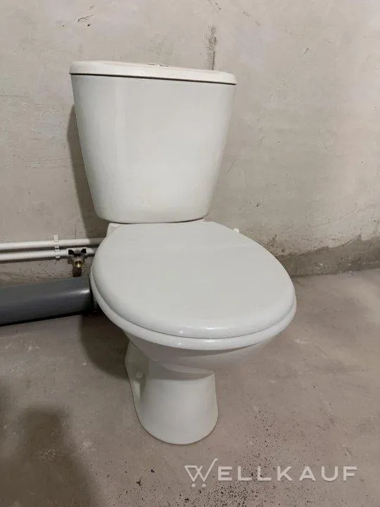 Toilettenschüssel