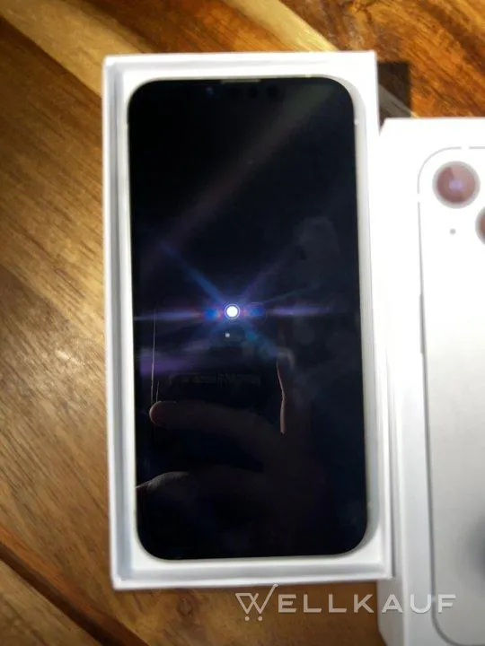 iPhone 13