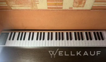 Synthesizer