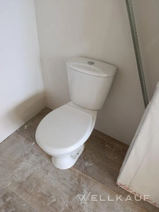 Toilettenschüssel