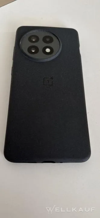 OnePlus 13R
