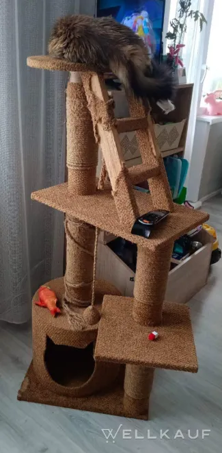 Haus für eine Katze