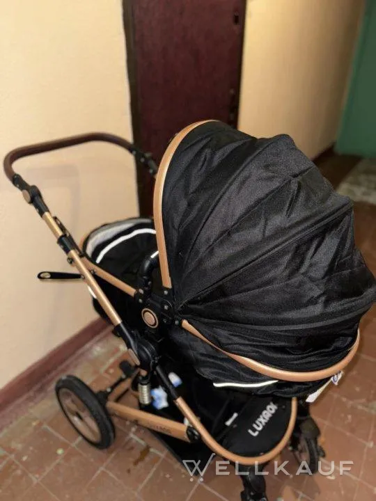 2-in-1-Kinderwagen