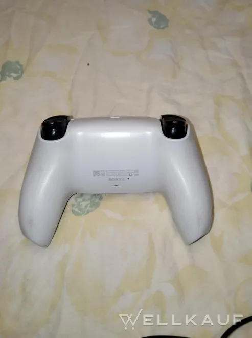 Joystick auf PlayStation 5