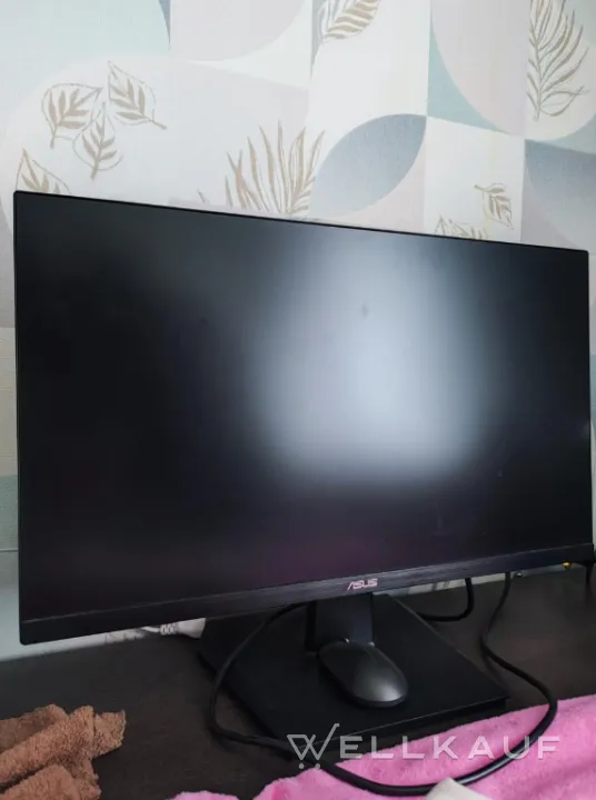 Asus Monitor