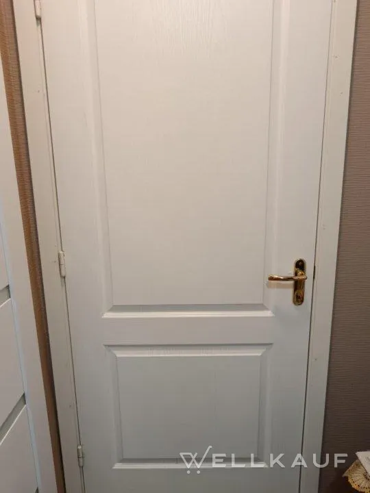 Innentür, 80 cm breit