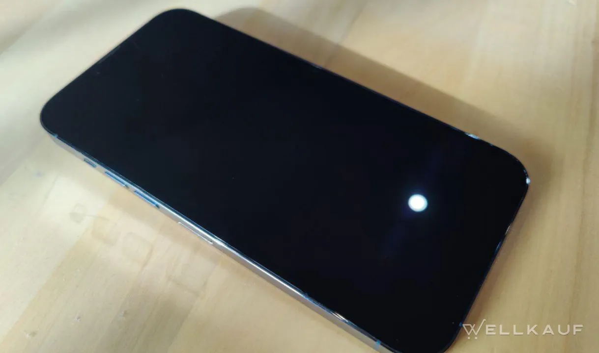 iPhone 13 Pro Max 128 GB