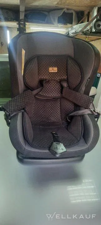 Kindersitz von 0 bis 18 kg