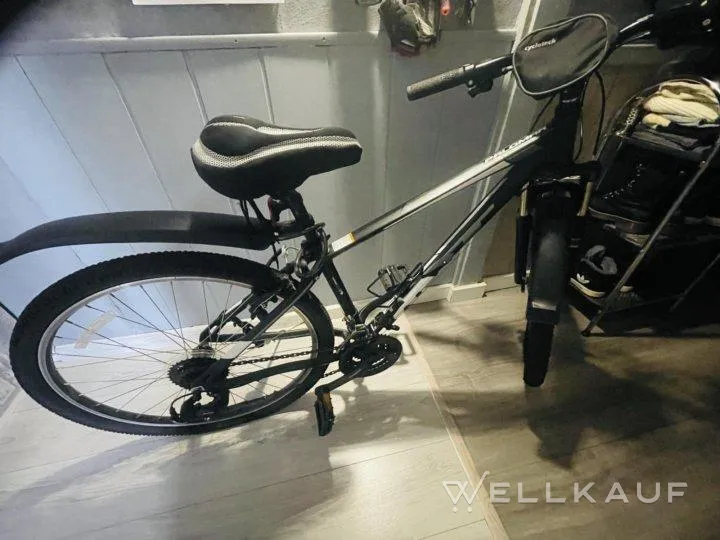 Fahrrad Palomar AL S GT