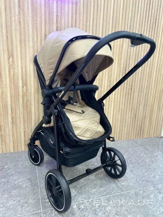 Explorer 2-in-1-Kinderwagen