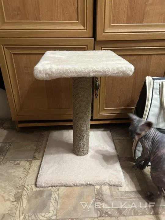 Kratzbrett für Kätzchen