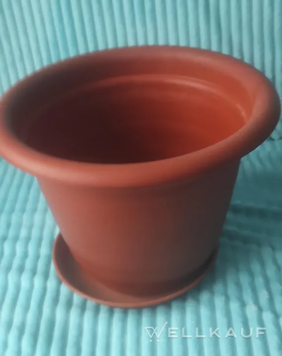 ein neuer Blumentopf