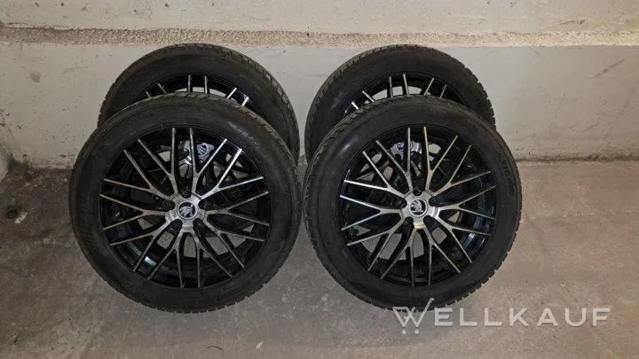 Komplettradsatz R17 205/55.