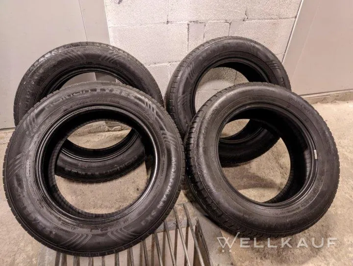 Sommerreifen Nokian Tyres SX3