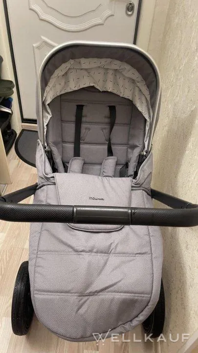 2-in-1-Kinderwagen