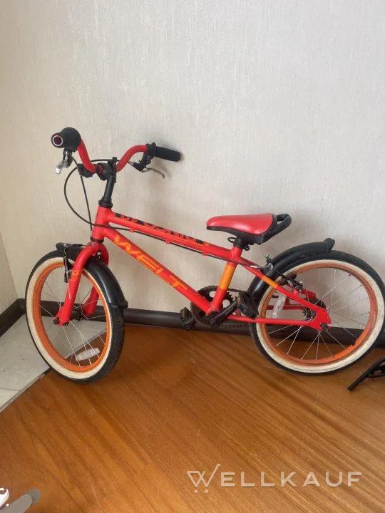 Welt Dingo Kinderfahrrad 18