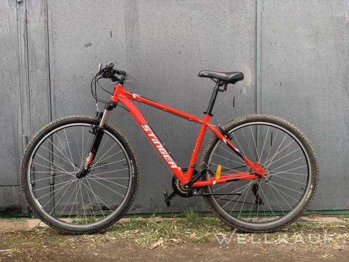 Stinger 29 Fahrrad